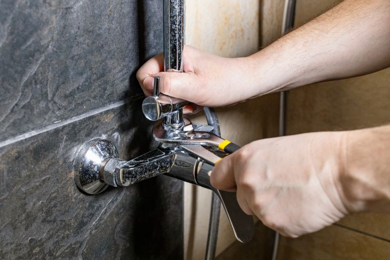 Top Shower Installation Companies in Snohomish, WA